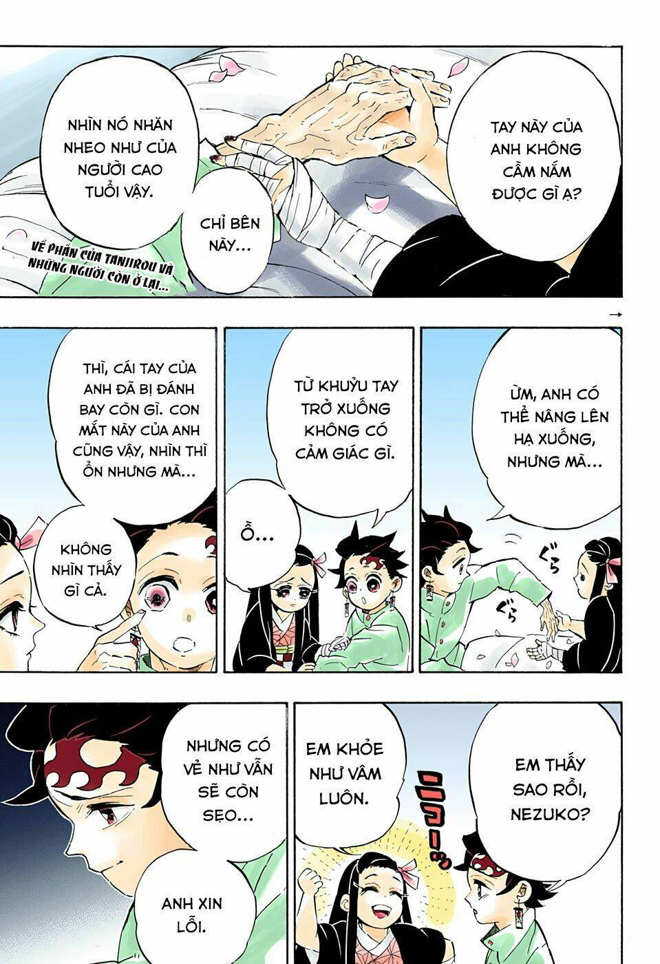Thanh Gươm Diệt Quỷ: Chapter 204: Một thế giới không còn quỷ