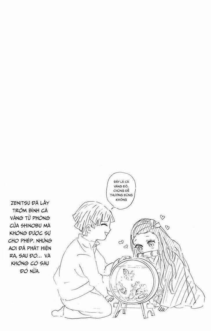 Thanh Gươm Diệt Quỷ: Chapter 60.5: Ngoại truyện