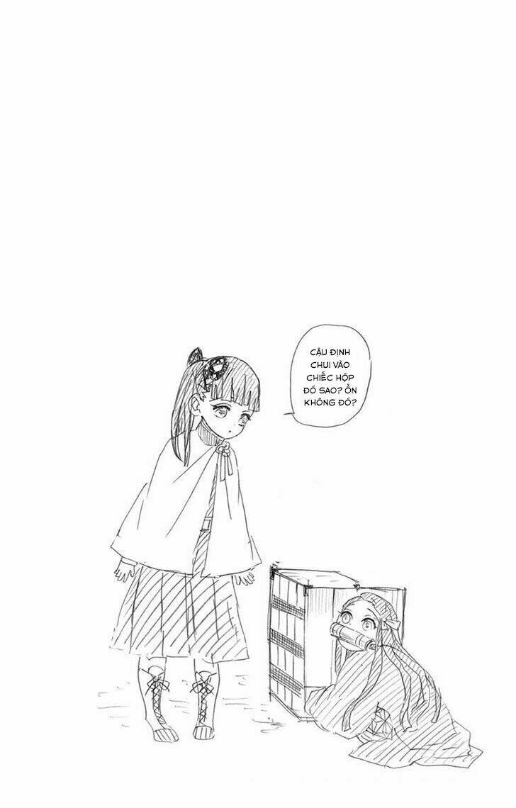 Thanh Gươm Diệt Quỷ: Chapter 60.5: Ngoại truyện