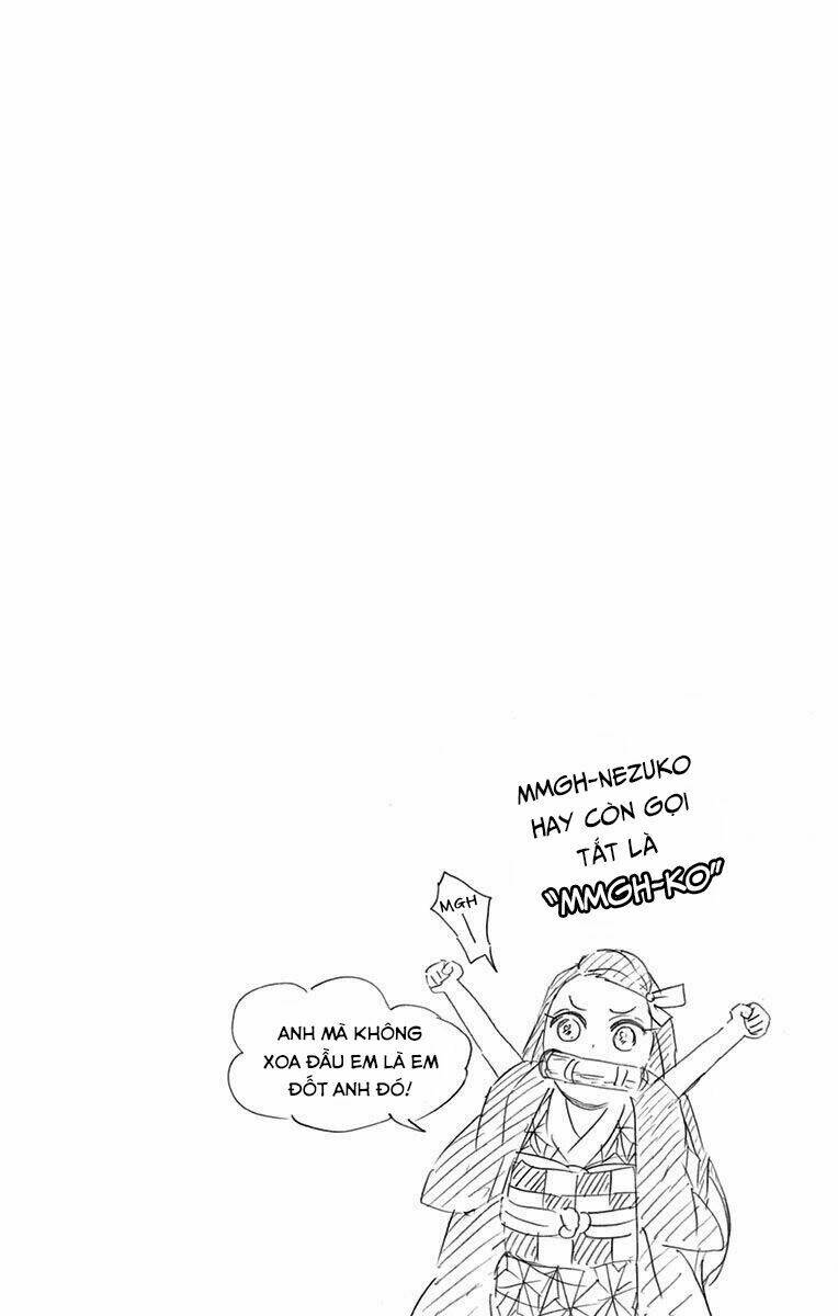 Thanh Gươm Diệt Quỷ: Chapter 61.5: Ngoại truyện