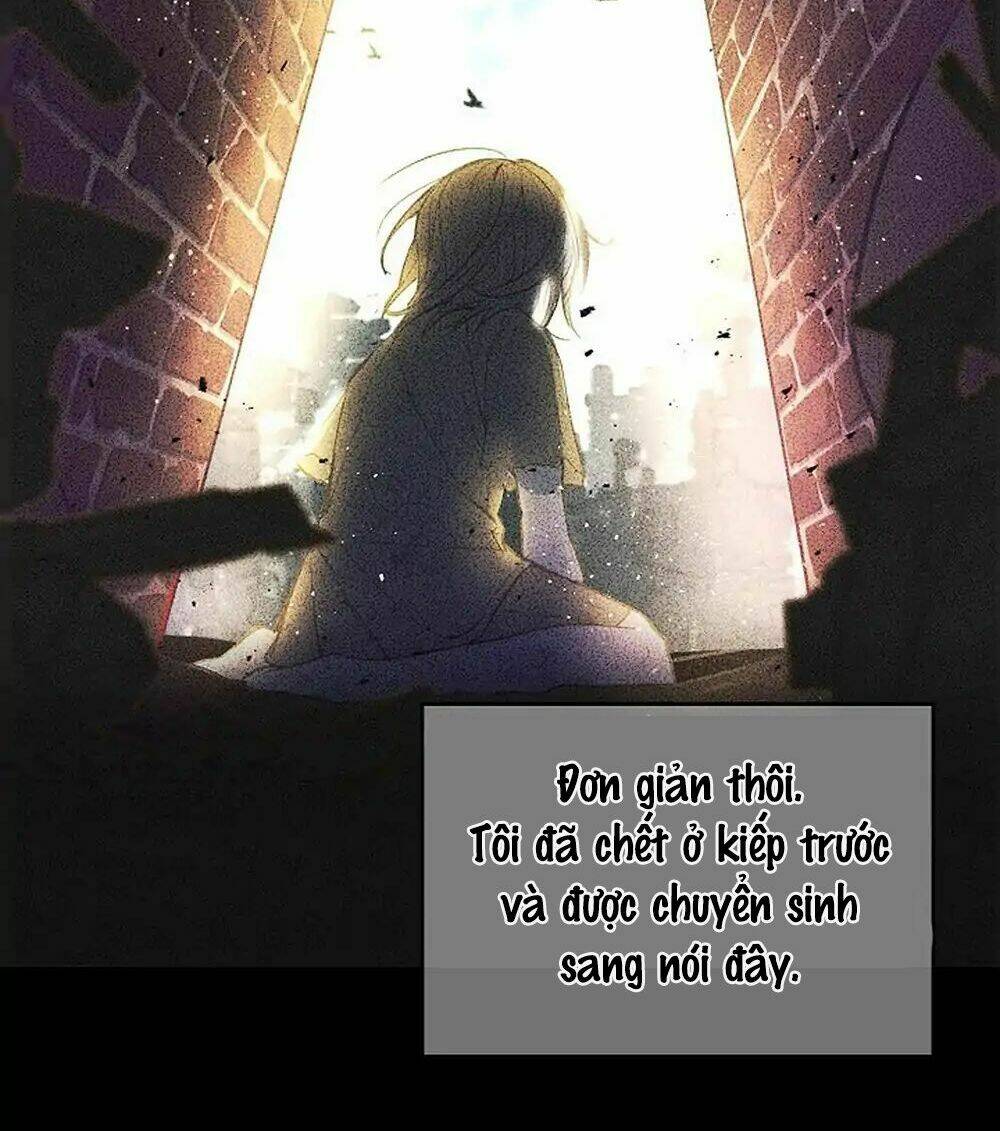 Lời Thú Nhận Nhầm Lẫn: Chapter 1