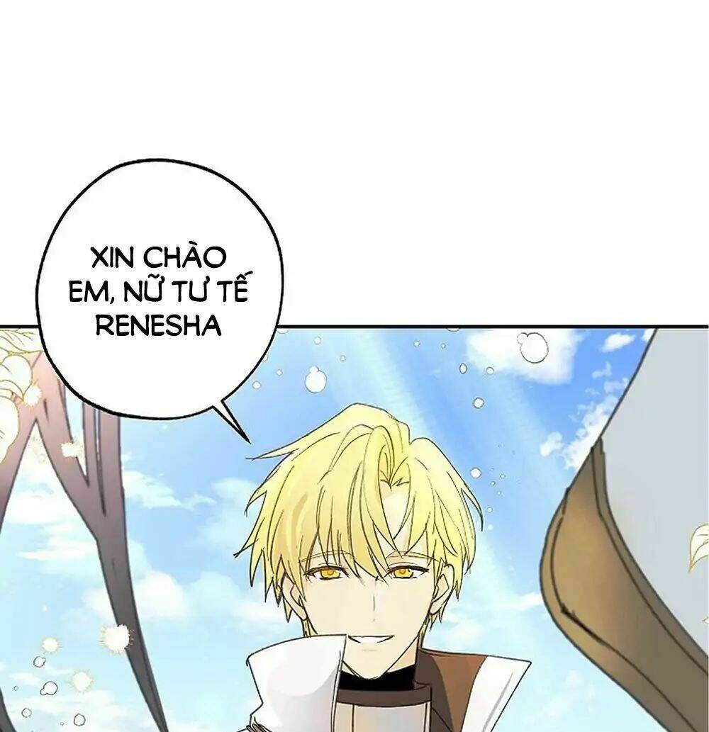 Lời Thú Nhận Nhầm Lẫn: Chapter 1