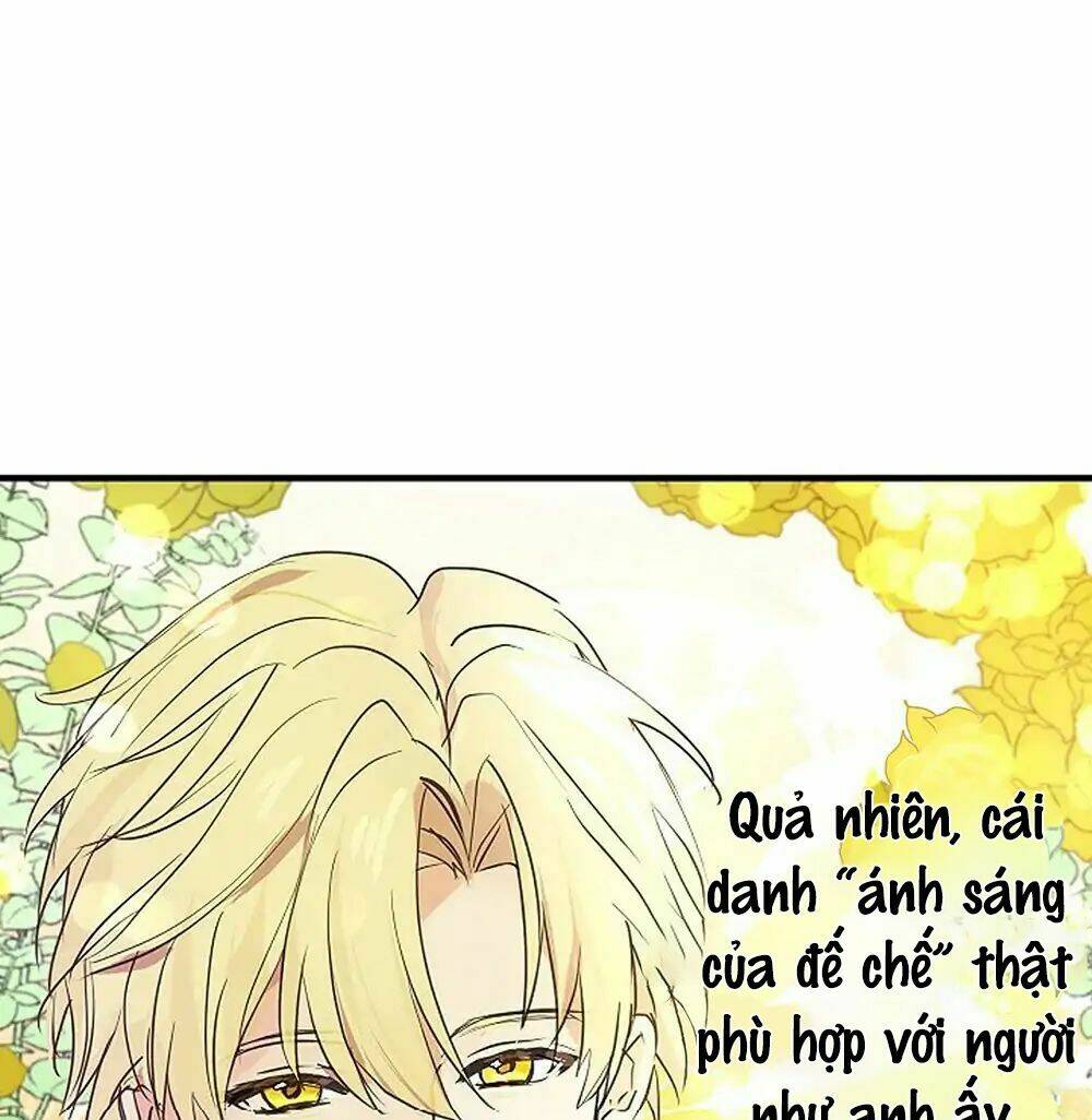 Lời Thú Nhận Nhầm Lẫn: Chapter 1