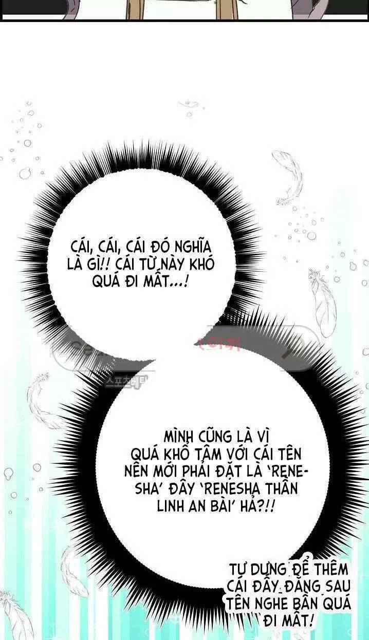 Lời Thú Nhận Nhầm Lẫn: Chapter 11