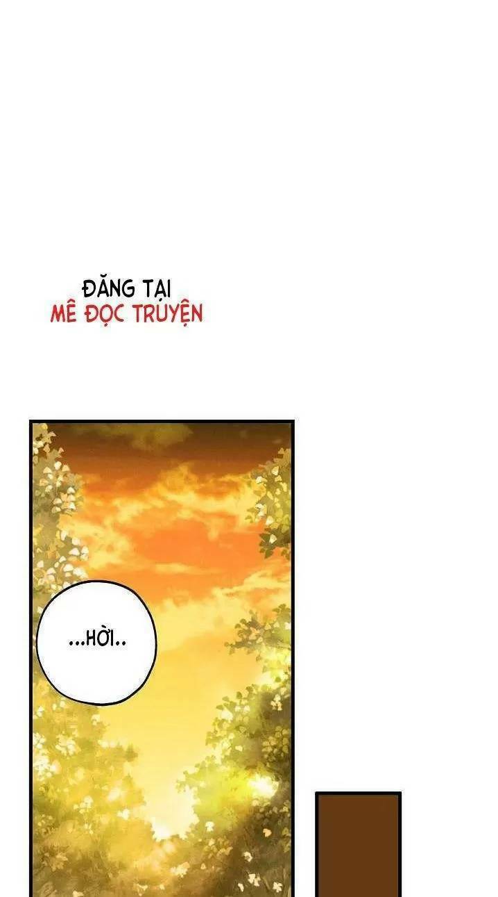 Lời Thú Nhận Nhầm Lẫn: Chapter 11