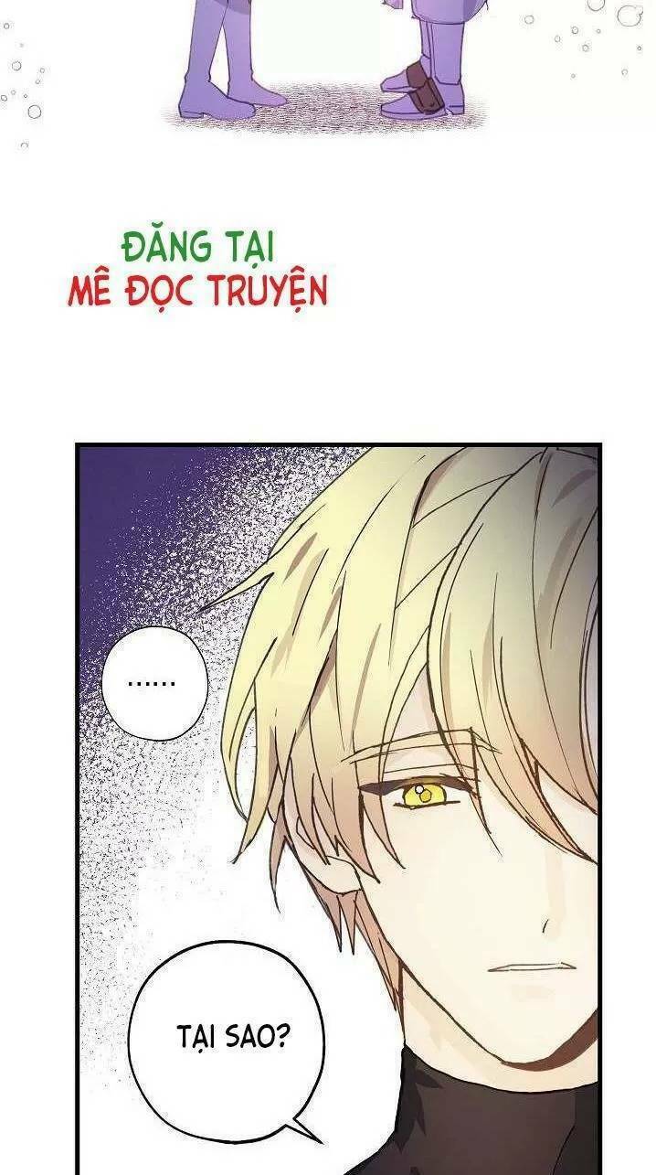 Lời Thú Nhận Nhầm Lẫn: Chapter 12