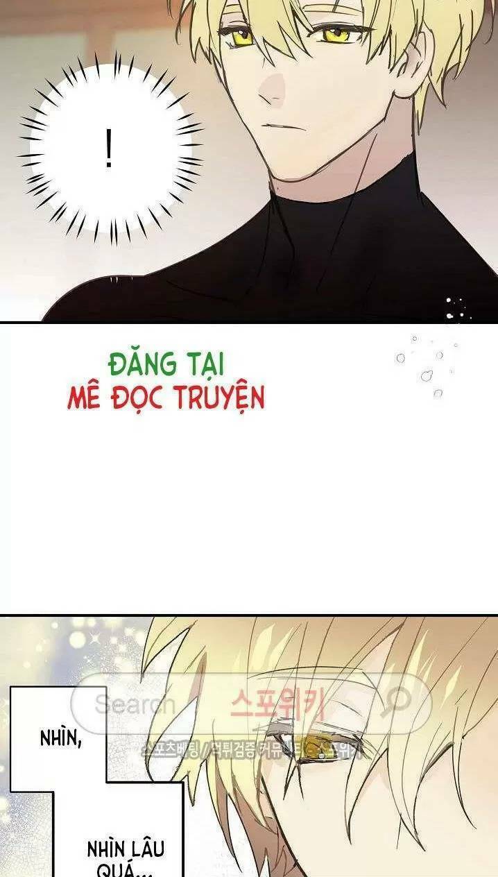 Lời Thú Nhận Nhầm Lẫn: Chapter 12