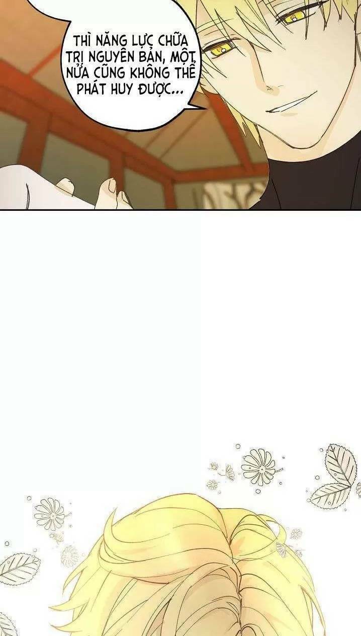 Lời Thú Nhận Nhầm Lẫn: Chapter 12
