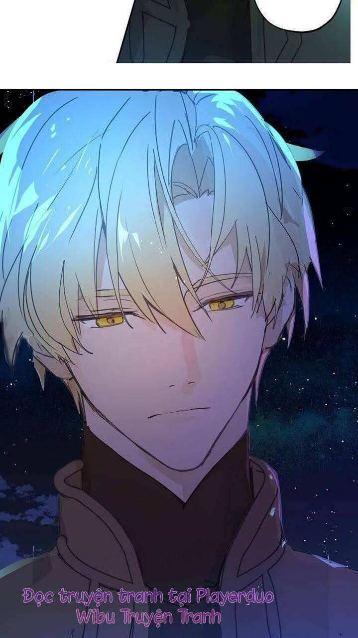 Lời Thú Nhận Nhầm Lẫn: Chapter 19
