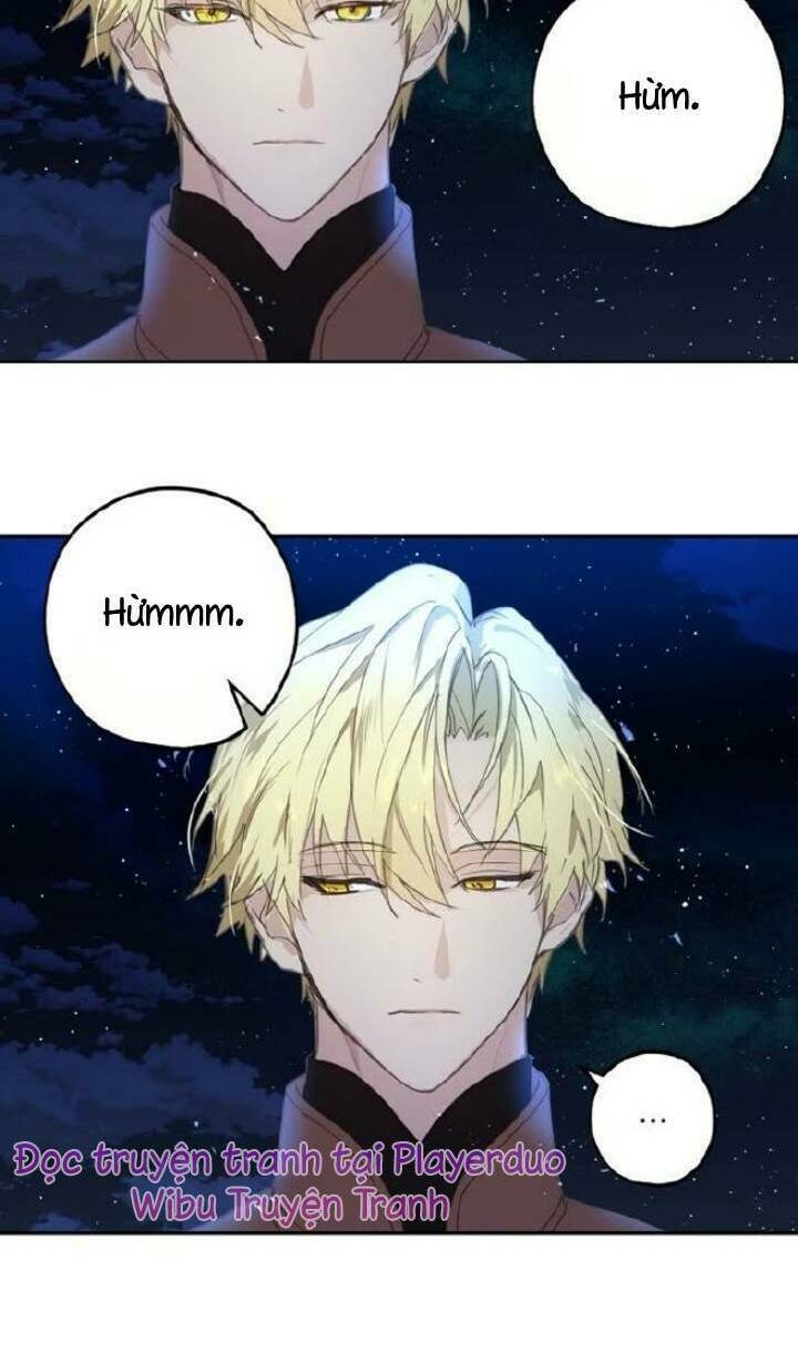 Lời Thú Nhận Nhầm Lẫn: Chapter 20