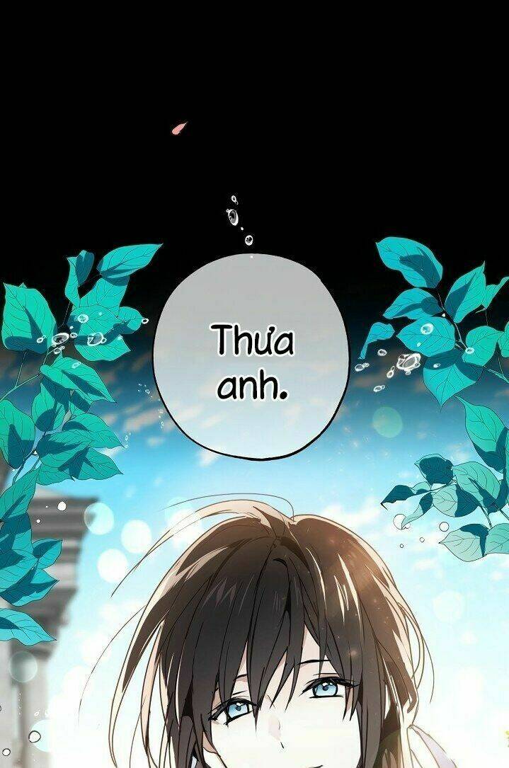 Lời Thú Nhận Nhầm Lẫn: Chapter 24