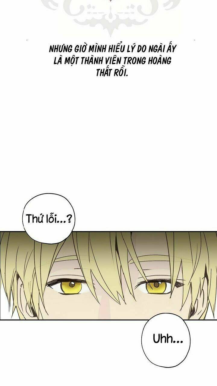 Lời Thú Nhận Nhầm Lẫn: Chapter 28