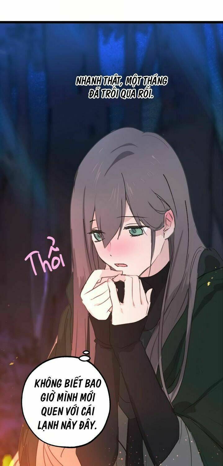 Lời Thú Nhận Nhầm Lẫn: Chapter 29