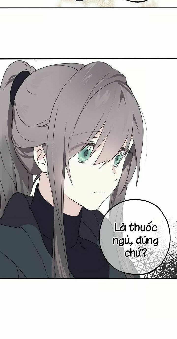 Lời Thú Nhận Nhầm Lẫn: Chapter 29
