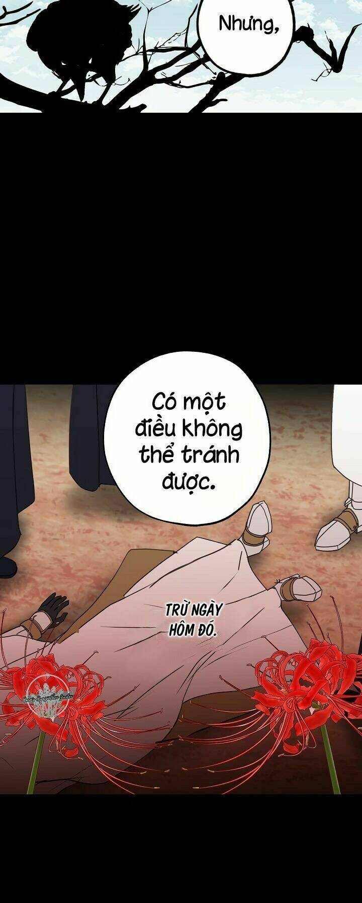 Lời Thú Nhận Nhầm Lẫn: Chapter 29