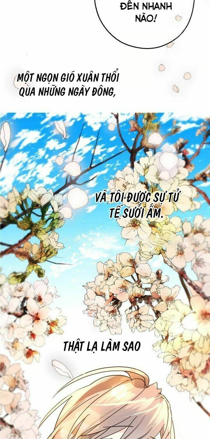 Lời Thú Nhận Nhầm Lẫn: Chapter 36