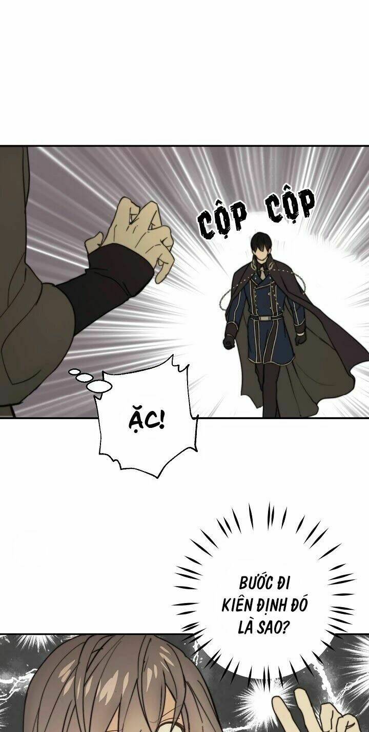 Lời Thú Nhận Nhầm Lẫn: Chapter 40