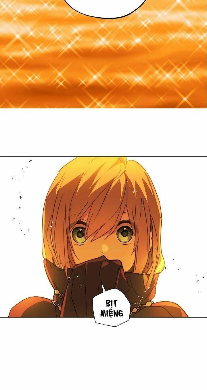 Lời Thú Nhận Nhầm Lẫn: Chapter 41