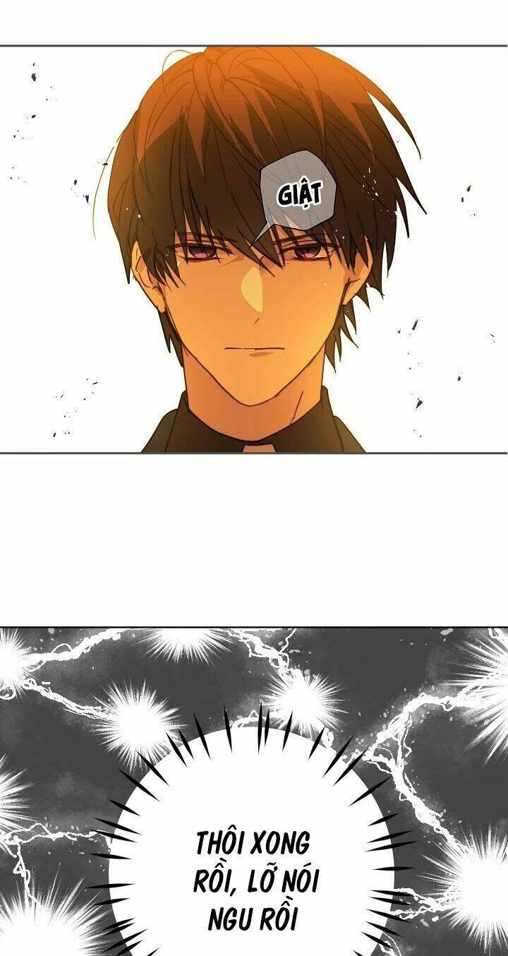 Lời Thú Nhận Nhầm Lẫn: Chapter 41