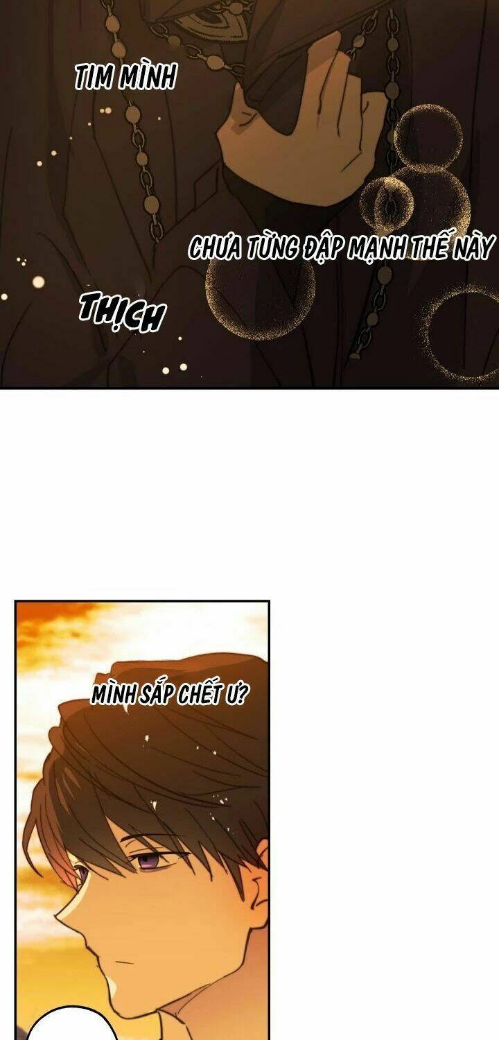 Lời Thú Nhận Nhầm Lẫn: Chapter 41