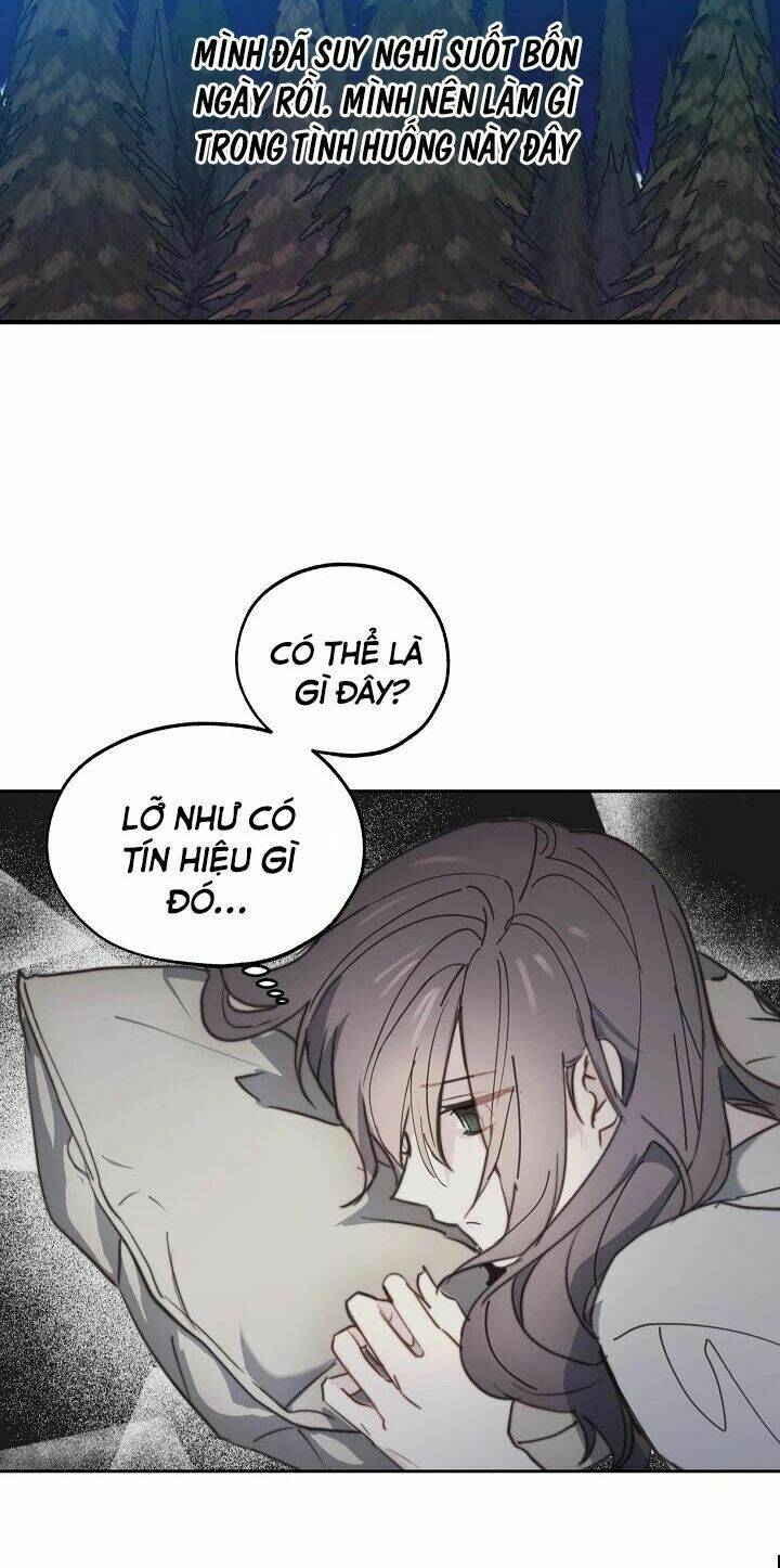 Lời Thú Nhận Nhầm Lẫn: Chapter 41
