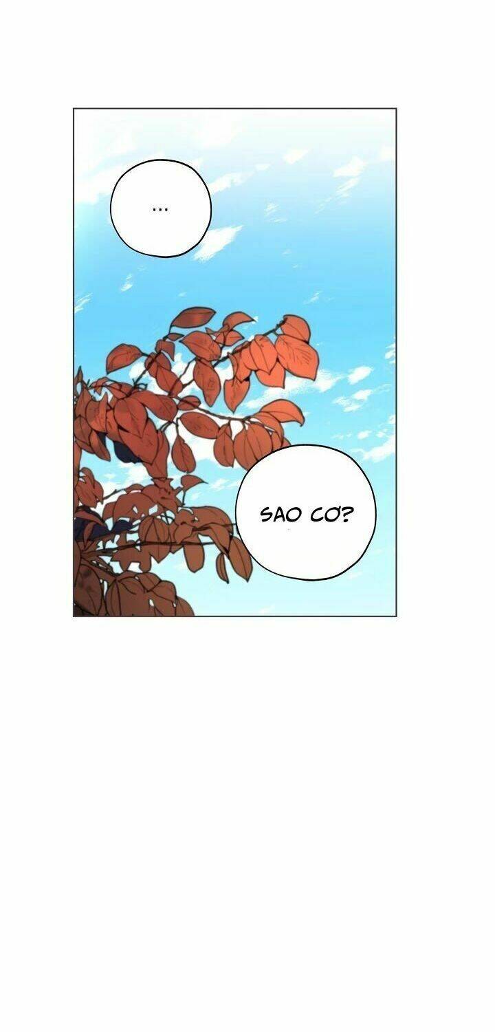 Lời Thú Nhận Nhầm Lẫn: Chapter 42