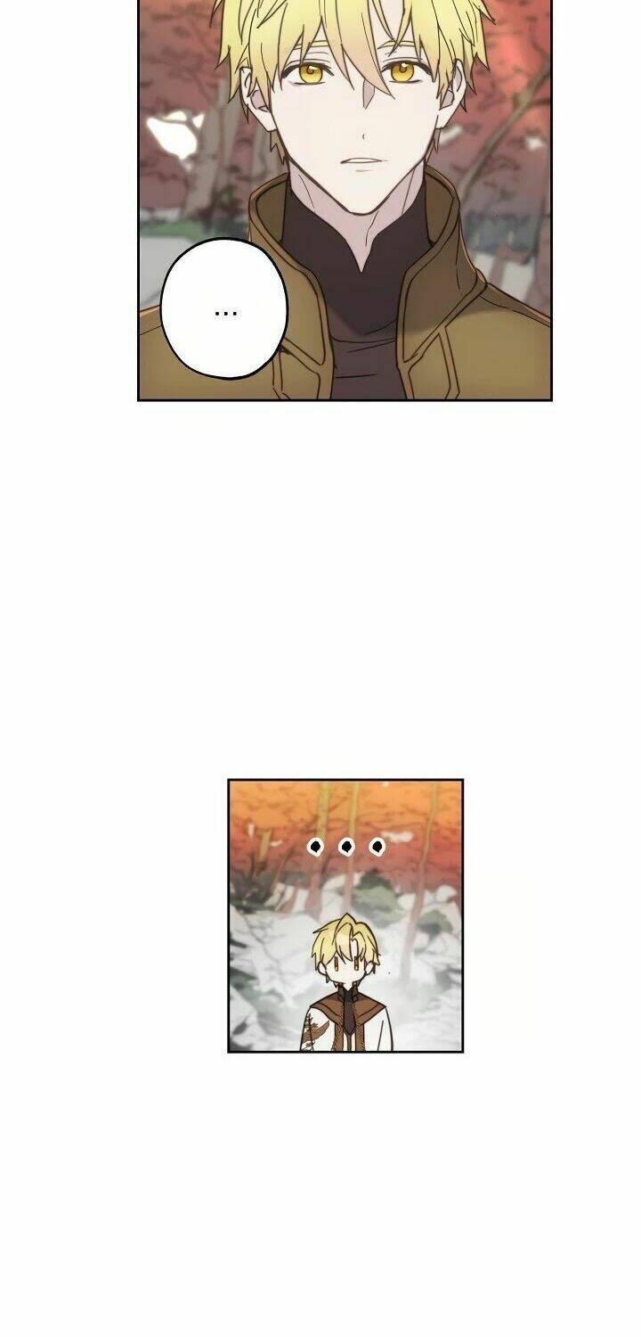 Lời Thú Nhận Nhầm Lẫn: Chapter 42