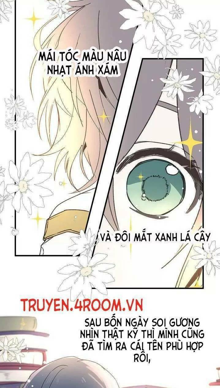 Lời Thú Nhận Nhầm Lẫn: Chapter 5