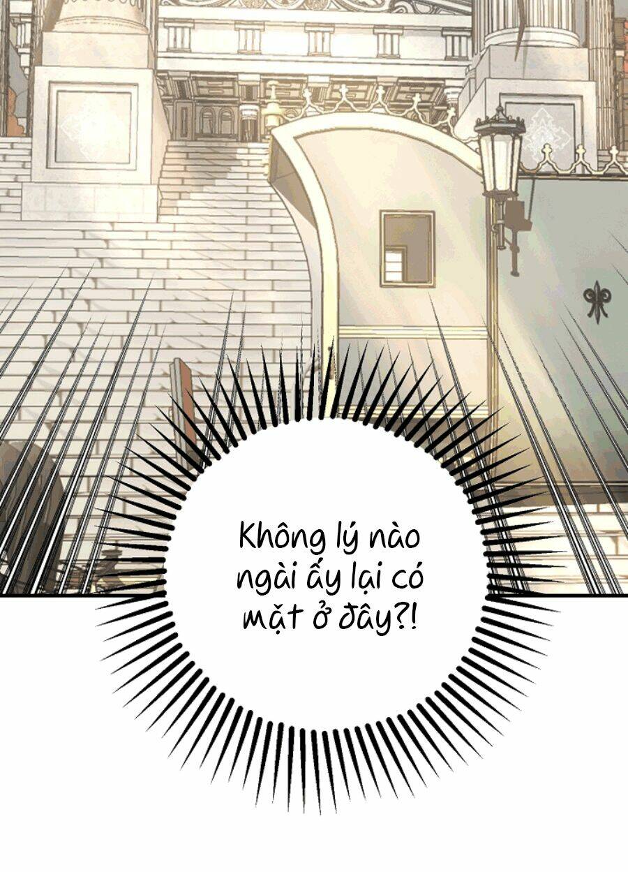 Lời Thú Nhận Nhầm Lẫn: Chapter 51