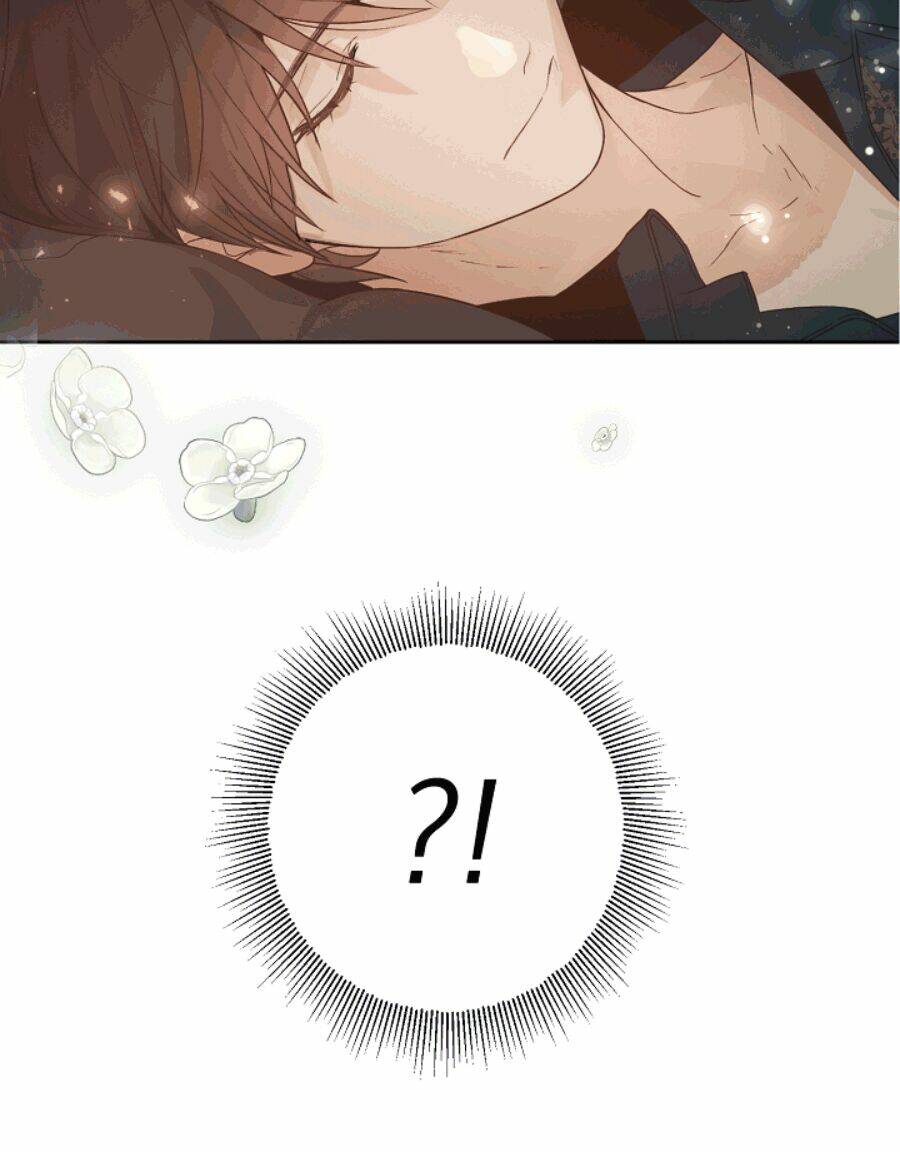 Lời Thú Nhận Nhầm Lẫn: Chapter 51