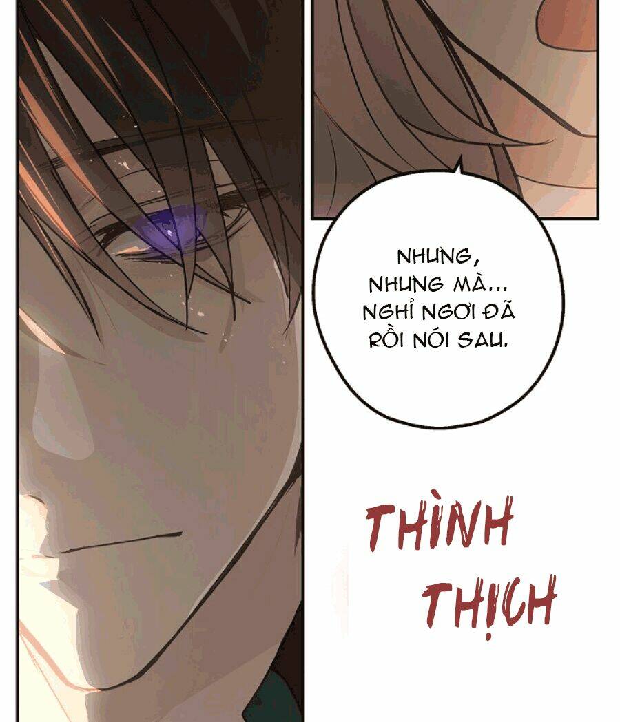 Lời Thú Nhận Nhầm Lẫn: Chapter 51