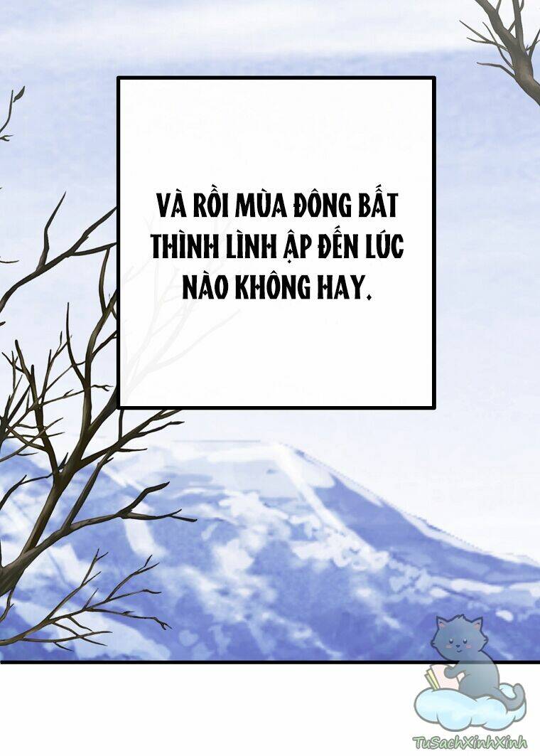 Lời Thú Nhận Nhầm Lẫn: Chapter 52