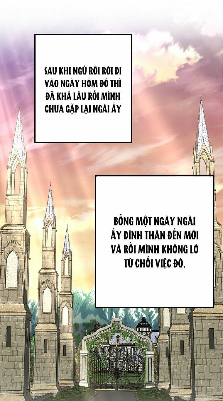 Lời Thú Nhận Nhầm Lẫn: Chapter 52