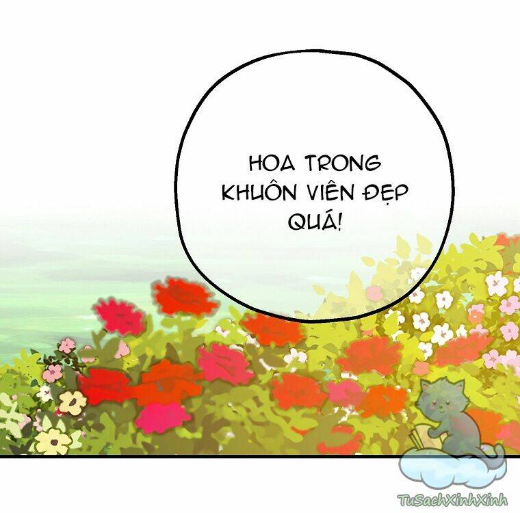 Lời Thú Nhận Nhầm Lẫn: Chapter 52