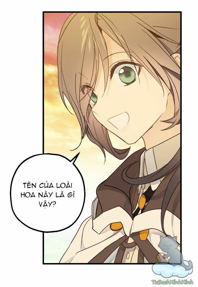Lời Thú Nhận Nhầm Lẫn: Chapter 52