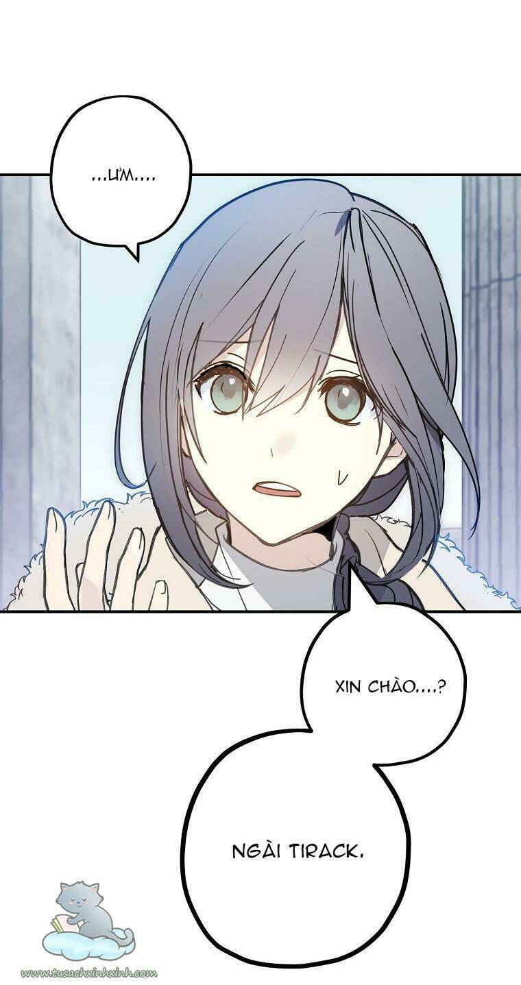 Lời Thú Nhận Nhầm Lẫn: Chapter 55