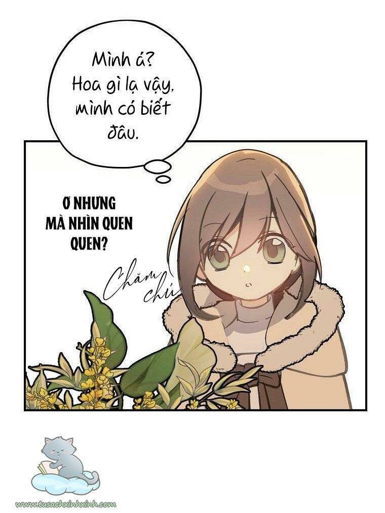 Lời Thú Nhận Nhầm Lẫn: Chapter 56