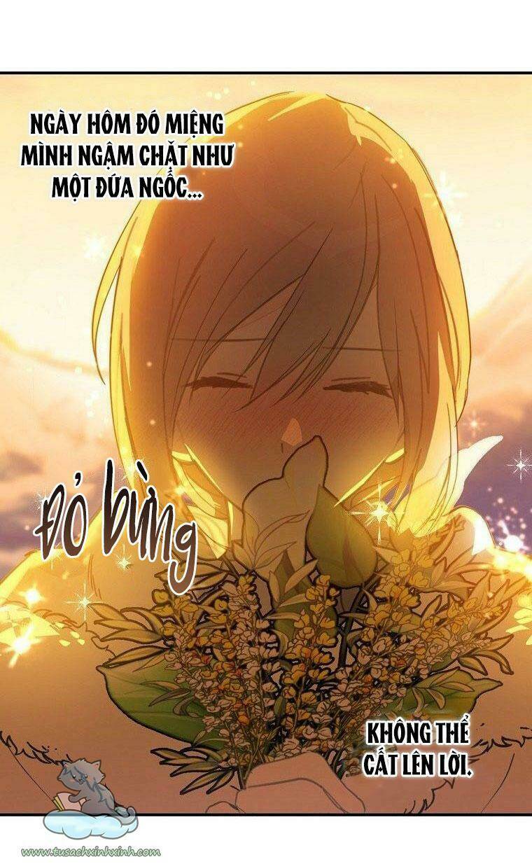 Lời Thú Nhận Nhầm Lẫn: Chapter 56