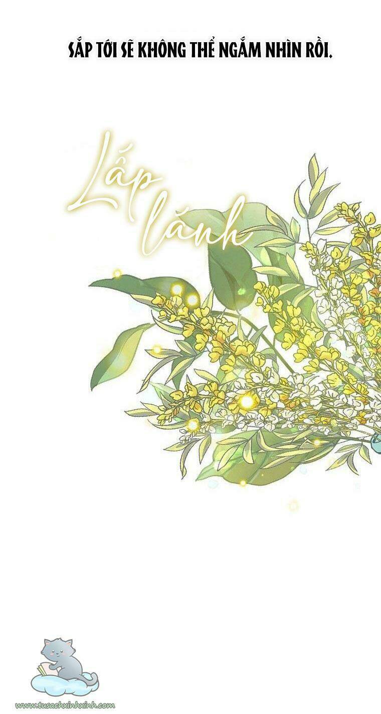 Lời Thú Nhận Nhầm Lẫn: Chapter 56