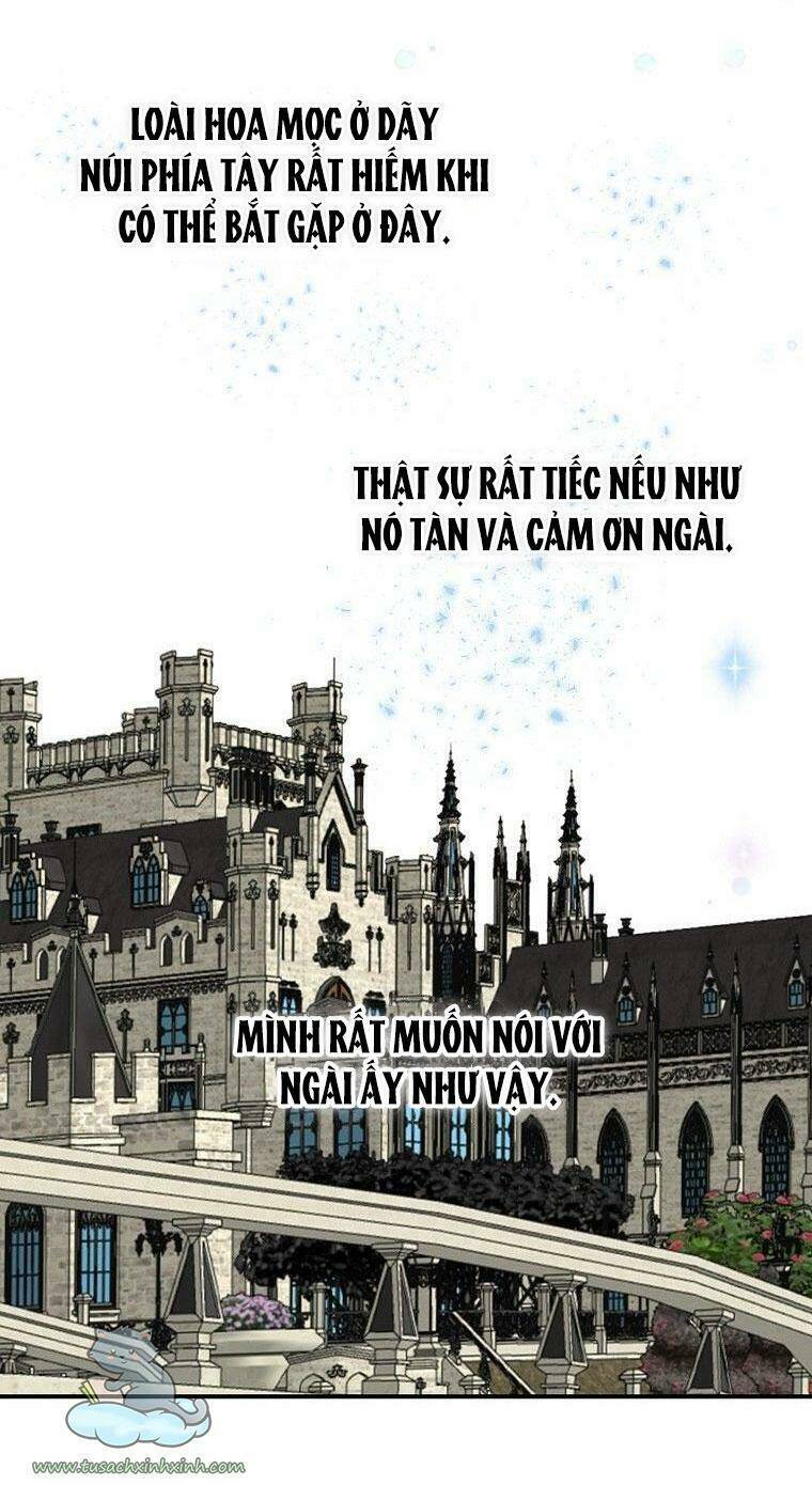 Lời Thú Nhận Nhầm Lẫn: Chapter 56