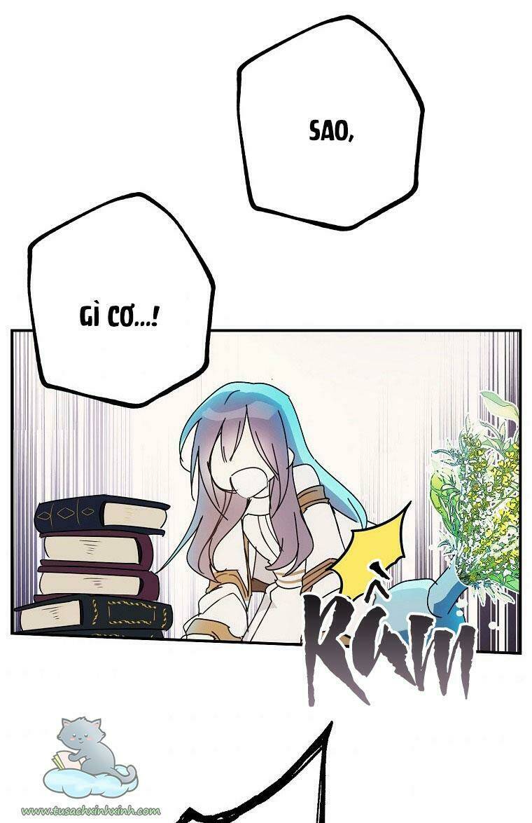 Lời Thú Nhận Nhầm Lẫn: Chapter 57