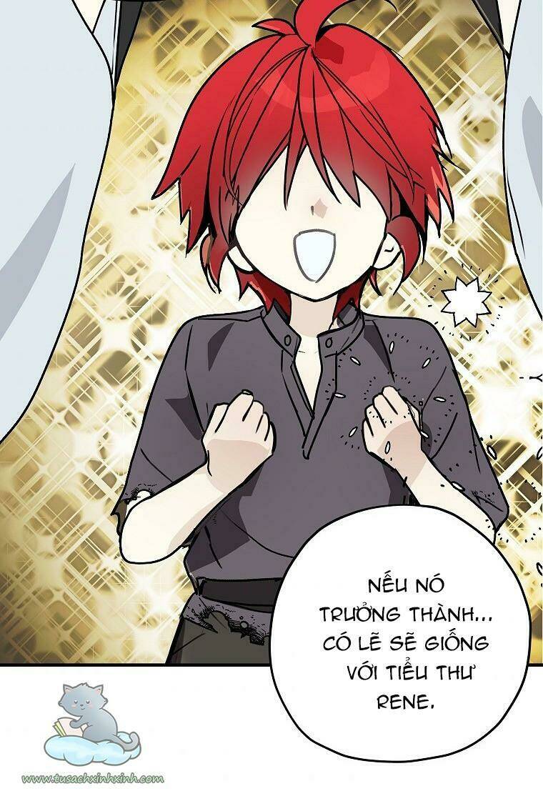 Lời Thú Nhận Nhầm Lẫn: Chapter 60