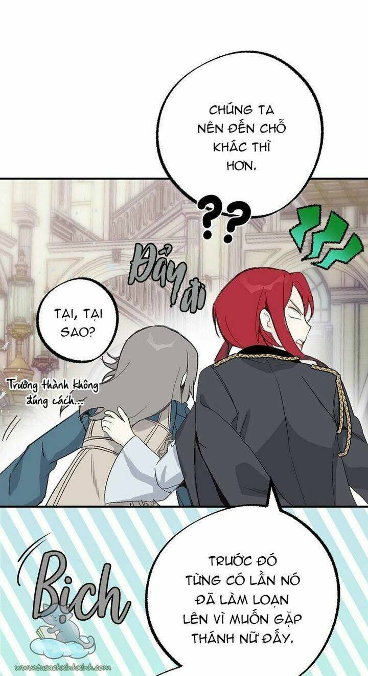 Lời Thú Nhận Nhầm Lẫn: Chapter 61
