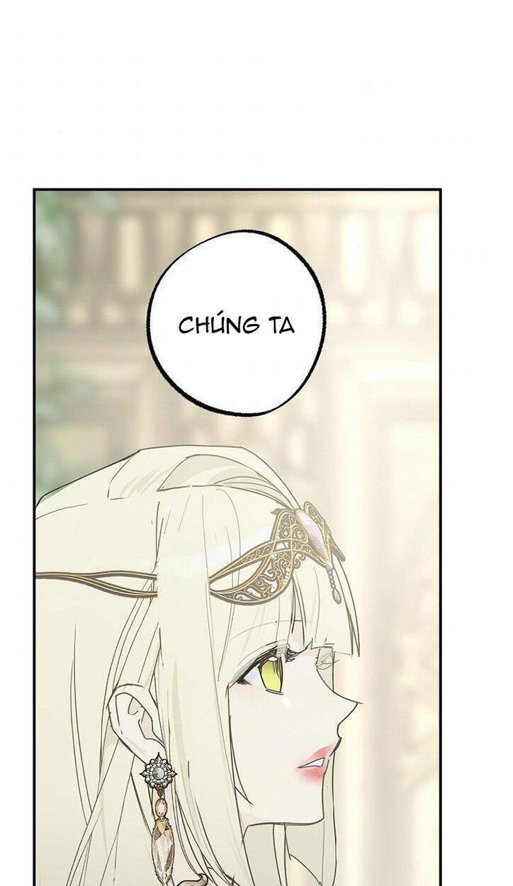 Lời Thú Nhận Nhầm Lẫn: Chapter 63