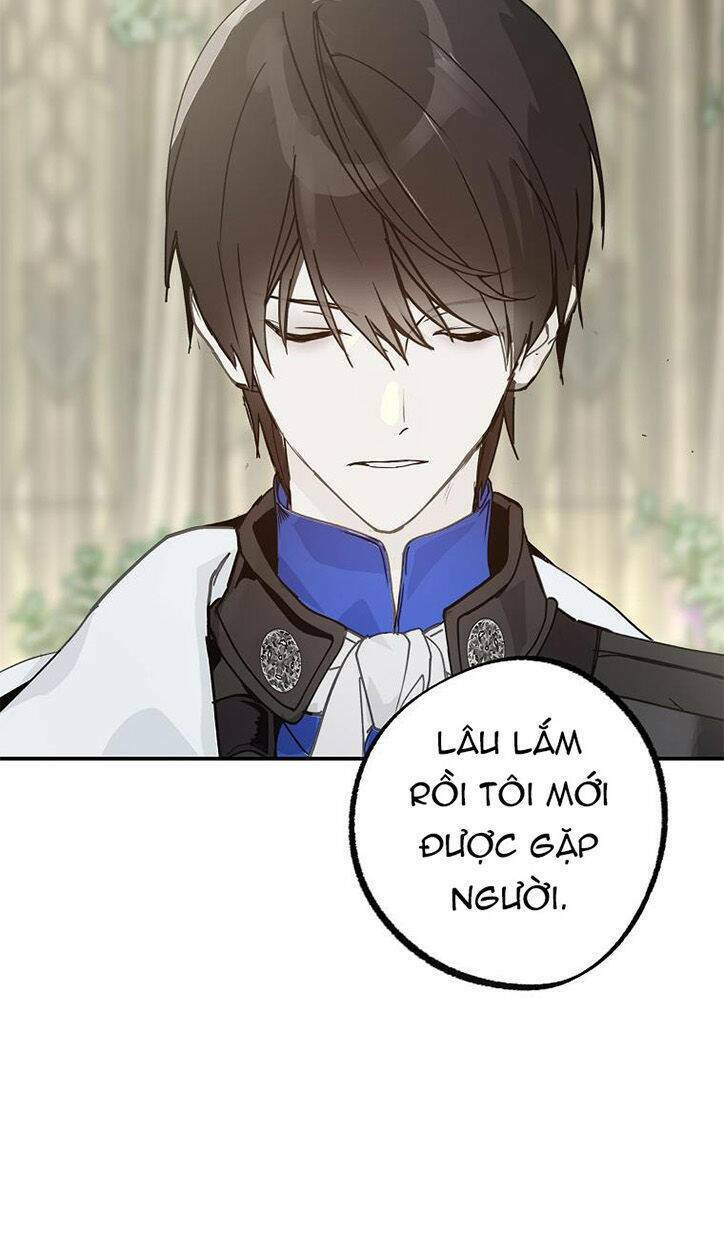 Lời Thú Nhận Nhầm Lẫn: Chapter 63