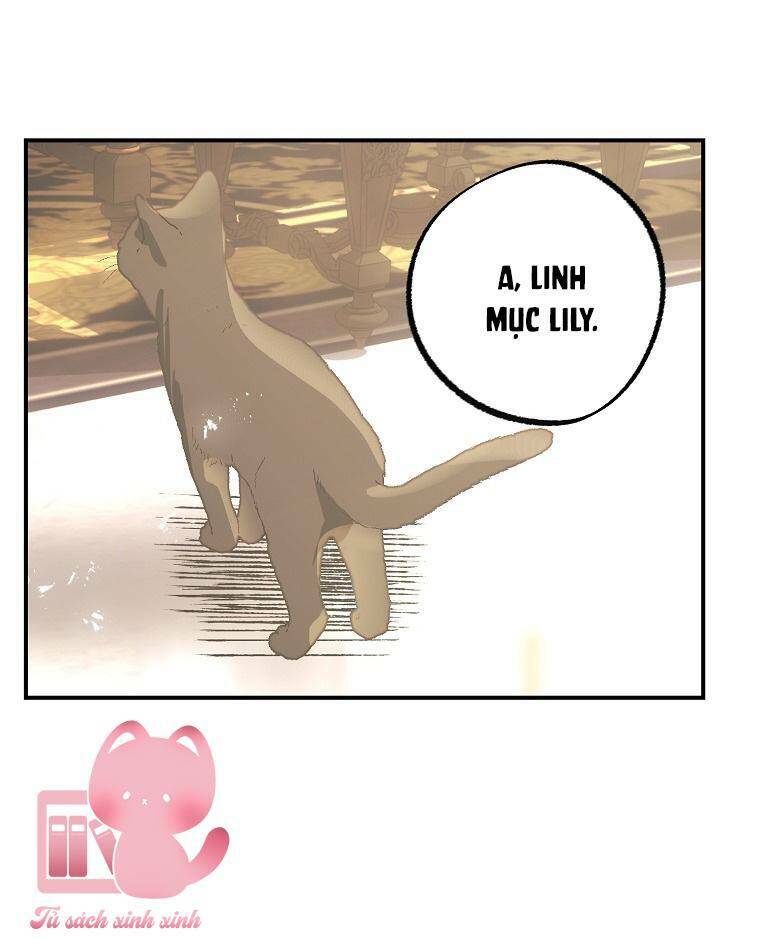 Lời Thú Nhận Nhầm Lẫn: Chapter 65
