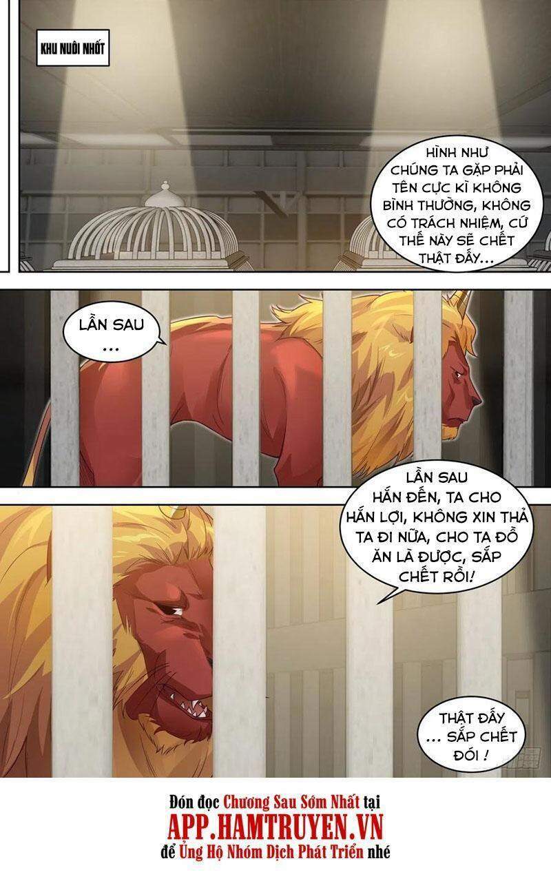 Vạn Tộc Chi Kiếp: Chapter 203