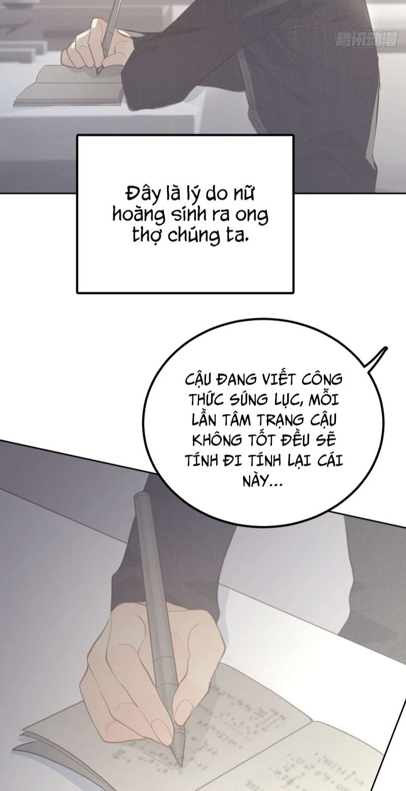 Ong Thợ: Chapter 15