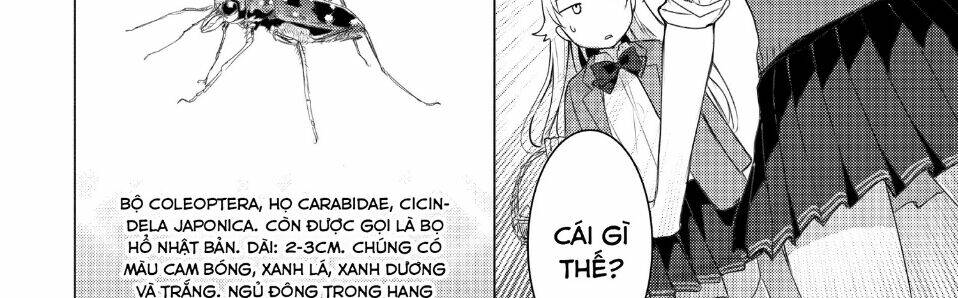Sounan desu ka?: Chapter 47