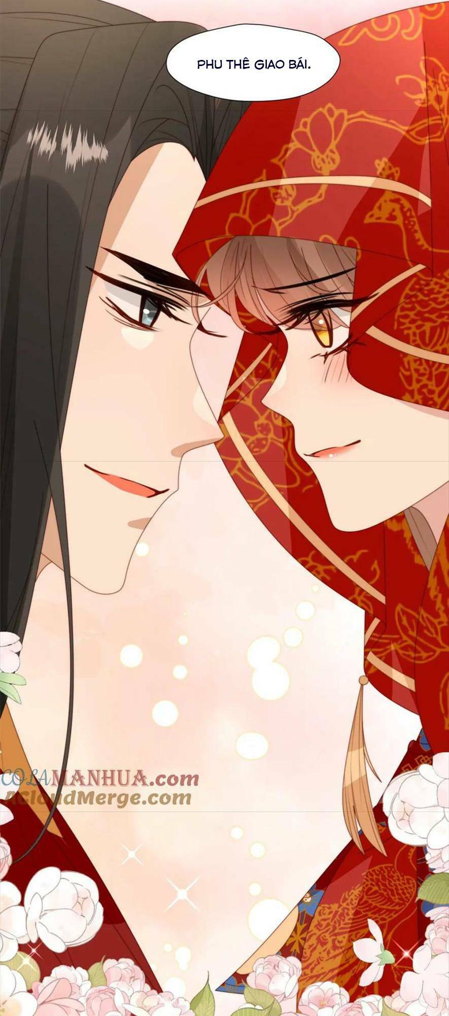 Trở Thành Nữ Phụ Ác Độc Chinh Phục Vương Gia: Chapter 101: Hết